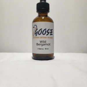 Wild Sarsaparilla