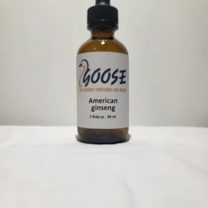 American ginseng