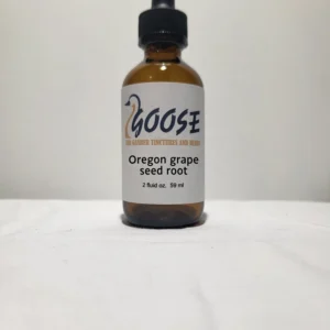 Oregon grape seed root
